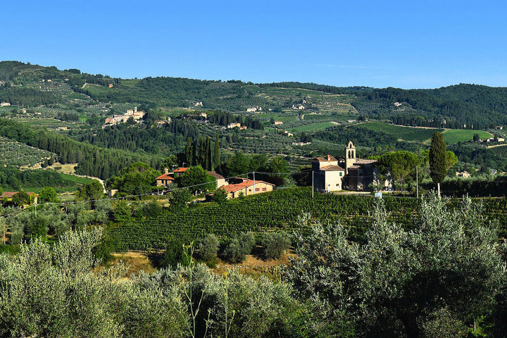 Tenuta Il Santo Toskana Italien Weinbau Winzer