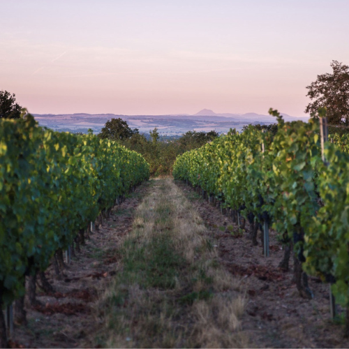 Clos de Breuilly