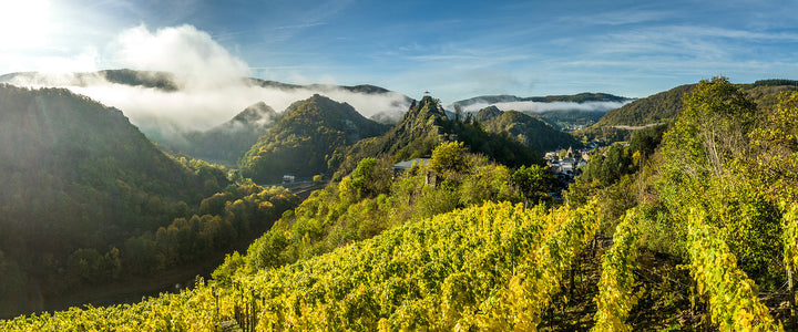 Ahrtal Altenahrer Eck Weinbau