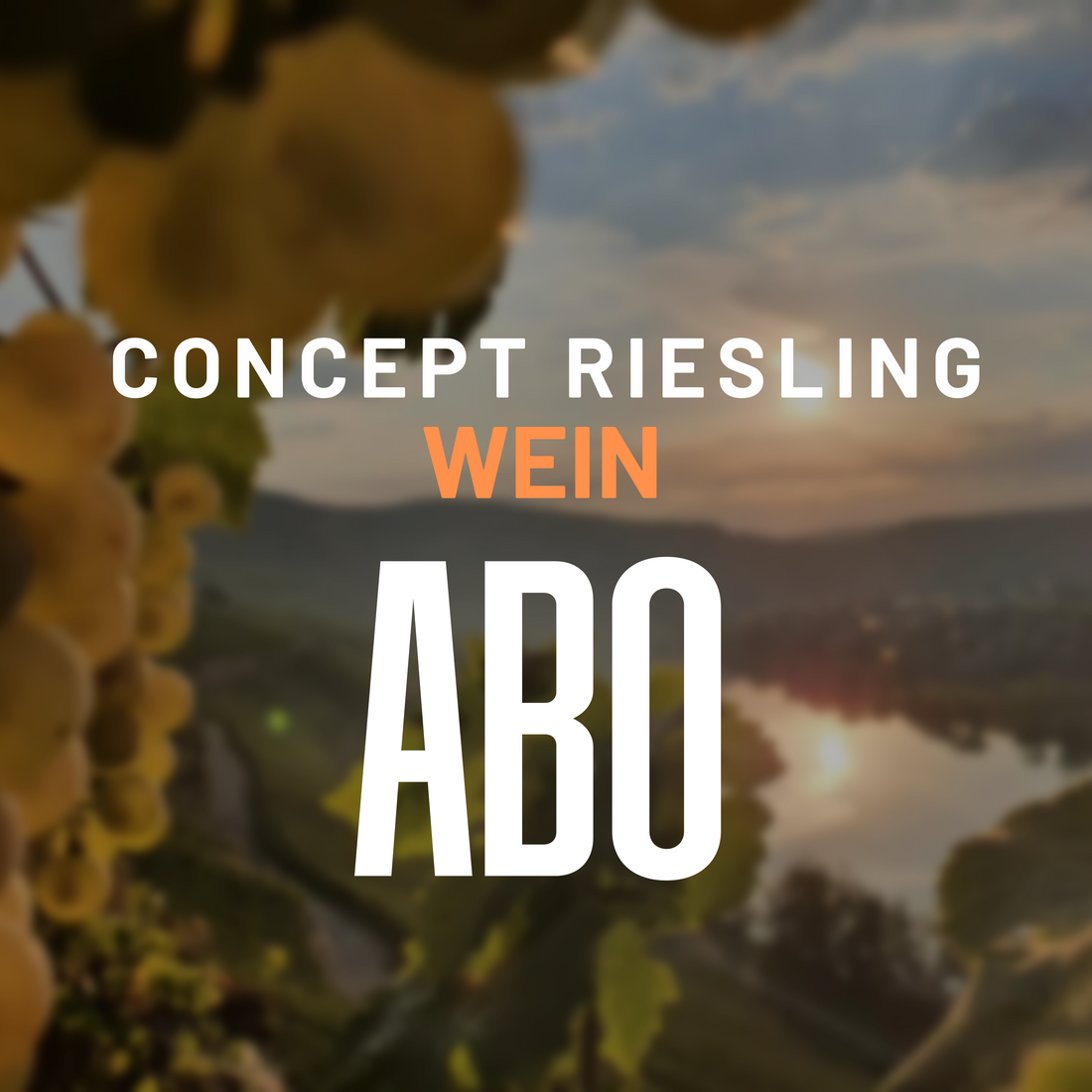 Concept Riesling Wein Abo