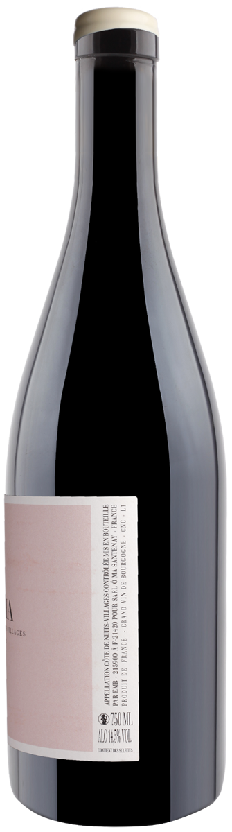 Pinot Noir Village Burgund Ô MA Frankreich Spätburgunder Rotwein 