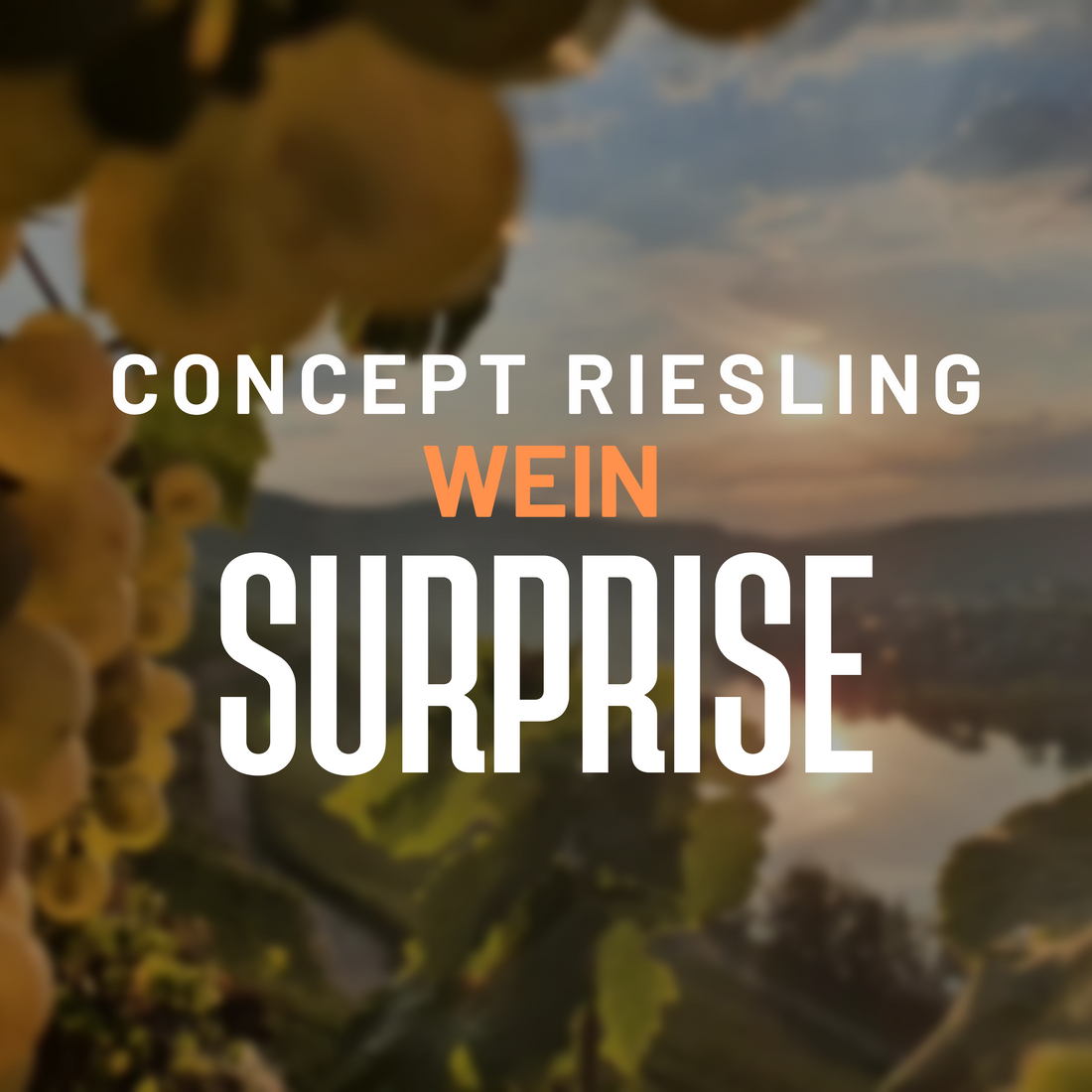 CR Wein Surprise-Paket