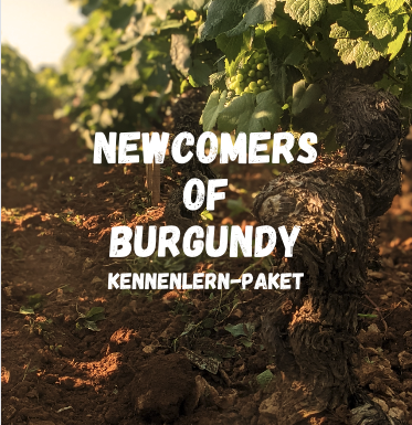 Newcomers of Burgundy Kennenlern-Paket